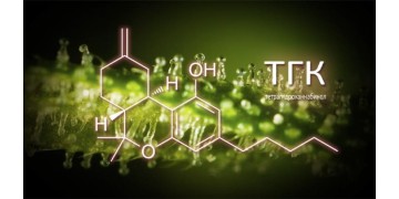 ТГК (тетрагидроканнабинол)
