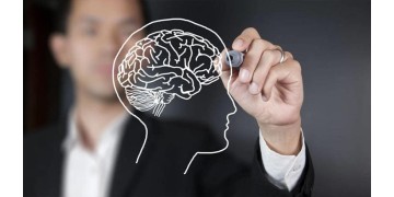 Влияние ТГК на тело и мозг