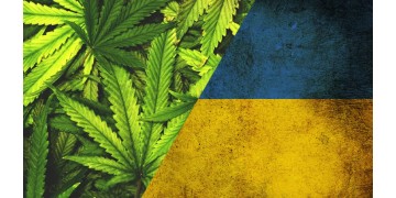 Декриминализация марихуаны в Украине