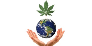 Легализация марихуаны в мире