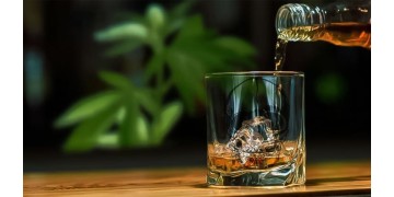 Смертность от алкоголя и каннабиса