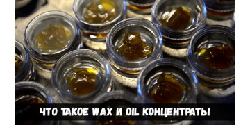Wax и Oil концентраты