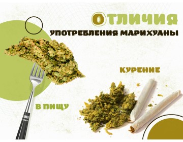 Употреблять в пищу или курить марихуану: в чем же разница?