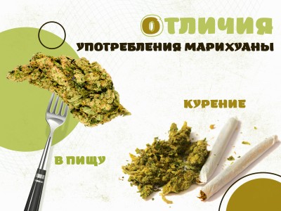 Употреблять в пищу или курить марихуану: в чем же разница?