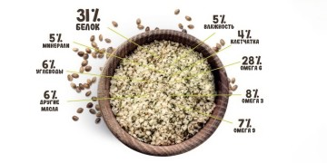 Питательные вещества в семенах конопли