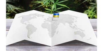 Легалайз в Украине