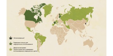 Страны где легализировали каннабис