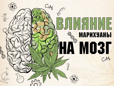 Влияние марихуаны на мозг: плюсы и минусы