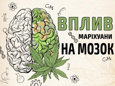 Вплив марихуани на мозок: плюси і мінуси
