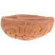 Трубка глиняная «Brain»