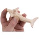 Трубка глиняная «Dolphin»