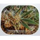 Набір для куріння «Cannabis»